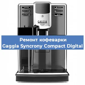 Чистка кофемашины Gaggia Syncrony Compact Digital от кофейных масел в Красноярске